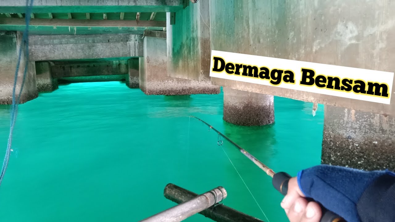 Mancing ikan di kolong dermaga ini ada yg tak biasa !! Dermaga Bensam Lampung