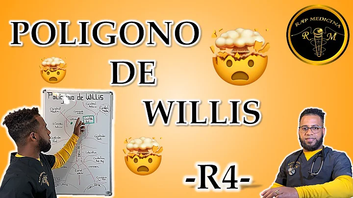 RAP DEL POLIGONO DE WILLIS - RAP MEDICINA - R4