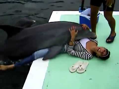 Fata fututa de un delfin.