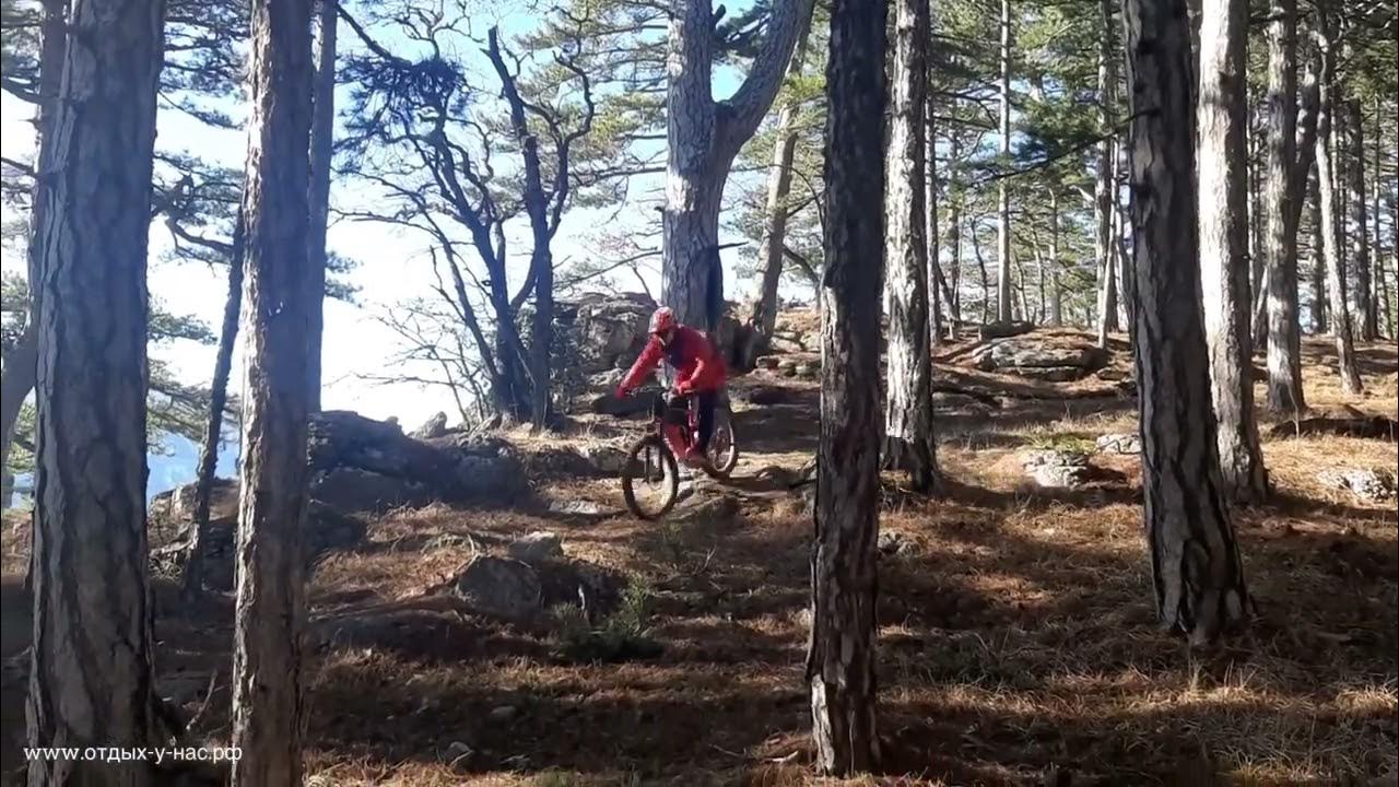Knysna Amatole горные леса
