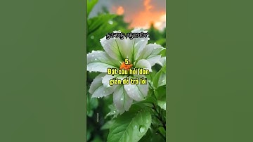 Kỹ năng giao tiếp ứng xử thông minh #baihoccuocsong #doisong #songkhoe #xuhuong #reels