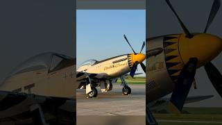 WWII Aviation Advocate Dan Fordice Dies In Crash