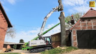 Spezialbaumfällung im Wohngebiet  Raupenbagger am Limit  Holzfäller im Einsatz  risk tree felling