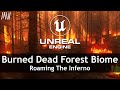 Mawi burned dead forest  unreal engine 52  roaming the inferno unrealengine ue5 gamedev