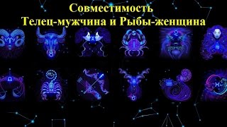 Телец и Рыбы: совместимость мужчины и женщины в любви Телец и Рыбы: совместимость мужчины и женщины в любви