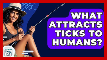 What Attracts Ticks To Humans? - Chasing Big Fish