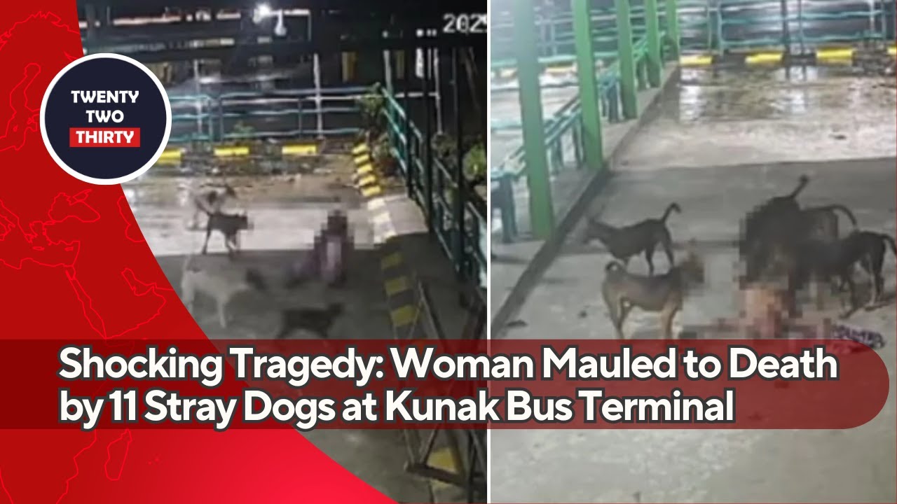 Shocking Tragedy: Woman Mauled to Death by 11 Stray Dogs at Kunak Bus ...