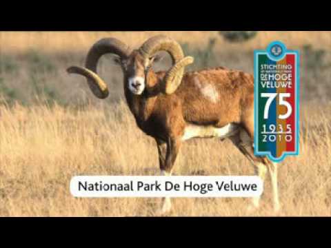 De Veluwe 'Apenheul, Zwaluwhoeve, Nationaal Park De Hoge Veluwe'