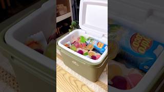 Cooler Box Mini 6L Pas Banget Buat Bekal Piknik Keluarga Kecil
