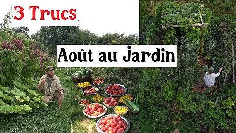 3 Trucs à faire en Août au Jardin
