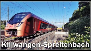 Abendliche Zugsichtung bei Killwangen | Kanton Aargau | Schweiz 2025