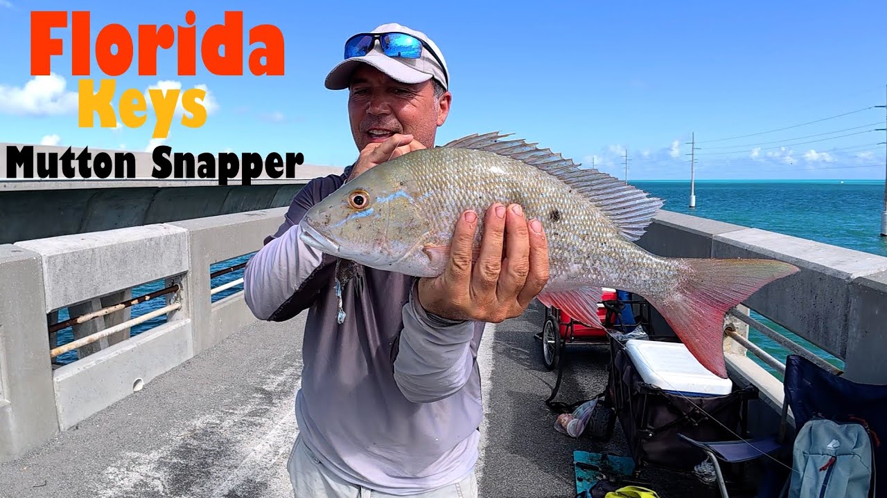 2 Days Fishing the FLORIDA KEYS!! How To Catch Mutton Snapper