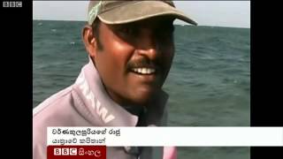 Bbc News Sri Llanka Coral Reef Video