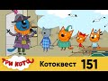 Три Кота | Котоквест | Серия 151 | Мультфильмы для детей