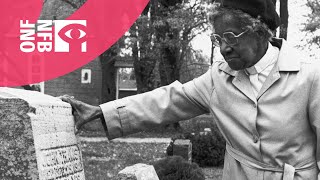 Older Stronger Wiser