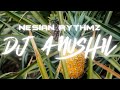 Pal - Hindi Reggae | Avish679 X DJ KriiZ X Anushil
