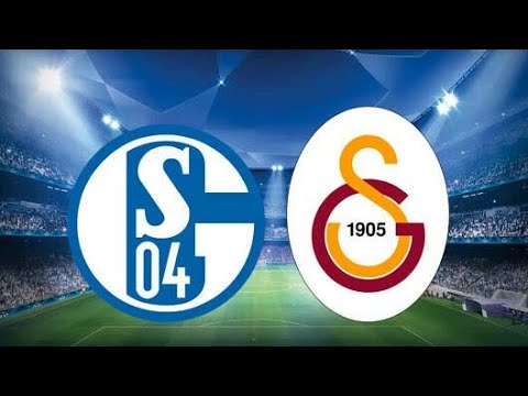 Schalke 04 Galatasaray