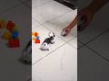 I Threw a Sensor Ball and My Robot Dog Ran After It!