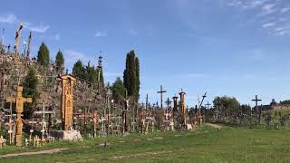 IMG_2780.MOV