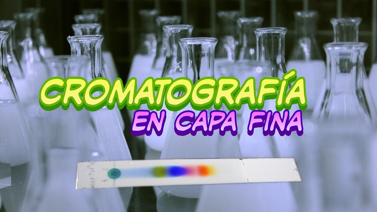 Separación de aminoácidos por cromatografía de capa fina (TLC) - YouTube