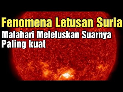 Video: Sunberry Adalah Beri Matahari. Bahagian 1