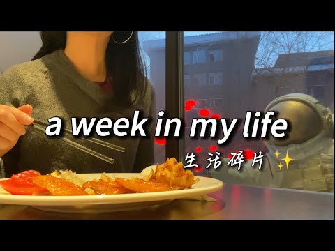 Travel as a vegetarian in Shenyang, China🏮｜中国留学｜lots of vegan buffet🌱｜winter break vlog｜吃遍沈阳素食馆