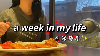Travel as a vegetarian in Shenyang, China🏮｜中国留学｜lots of vegan buffet🌱｜winter break vlog｜吃遍沈阳素食馆