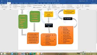 Explicacion mapa mental y conceptual acerca del medio ambiente