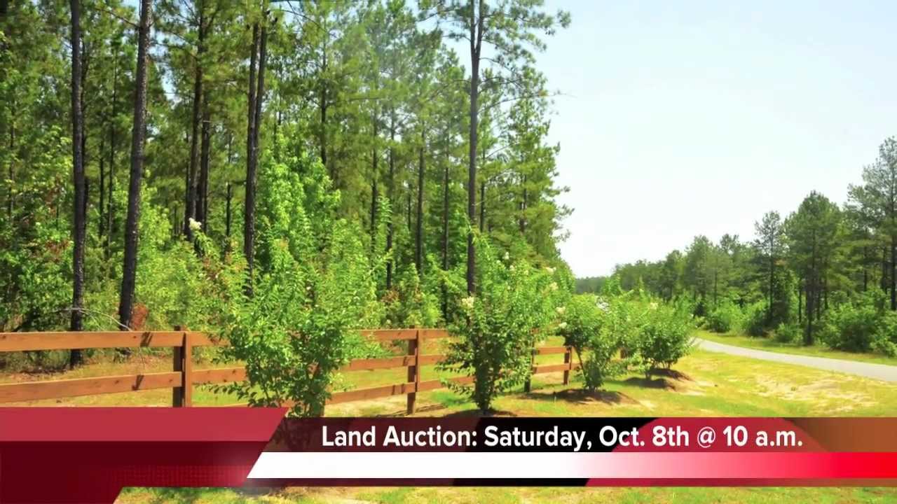 Waterfront property sale in Land Auction YouTube