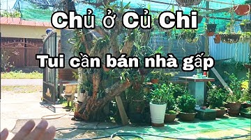 Nhà đất củ chi | giá rẻ | giới thiệu | Lô đất có nhà cấp 4 có 2 mặt tiền đường nhựa 10x90🚫 Đã Bán