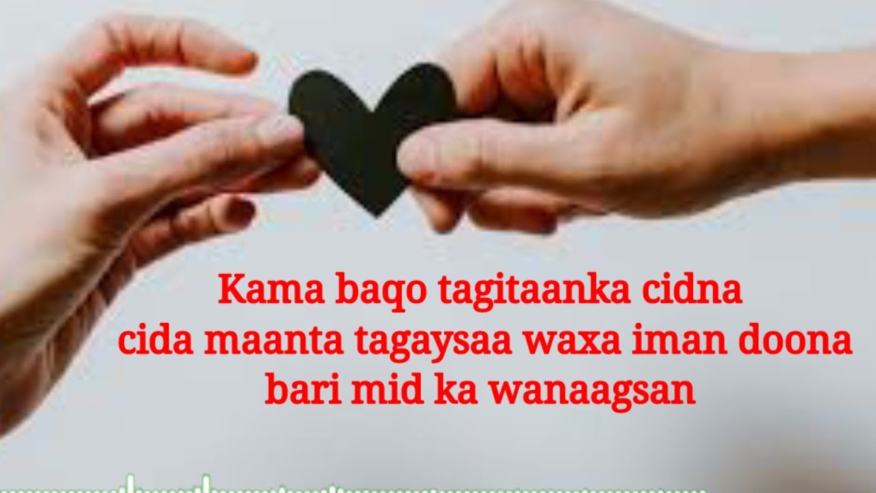 Talaba jinsiy testdan otmoqda.