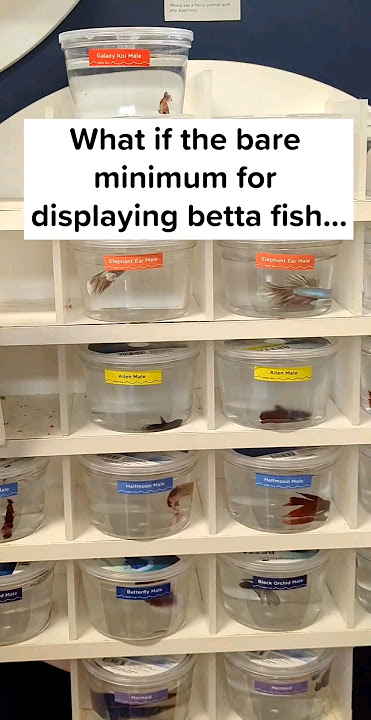Petco, PetSmart -- set a new standard