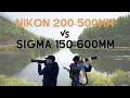 Comparing Nikon 200-500mm with Sigma 150-600mm in the field