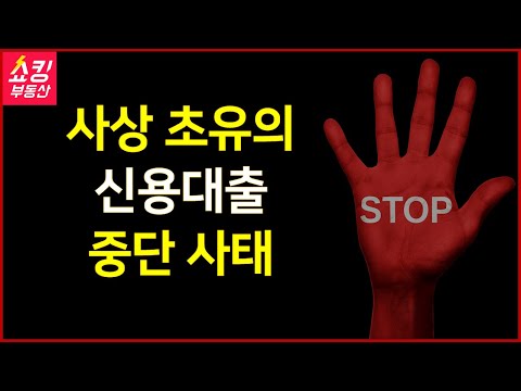 사상 초유의 <strong>신용대출</strong> 중단 사태!