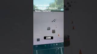 Tesla’s Object Detection Is on Another Level… Watch This!