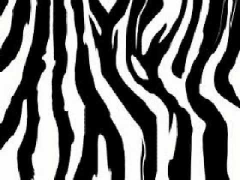 Watch Zebraville - Melatonine on YouTube Watch Zebraville - Melatonine on YouTube