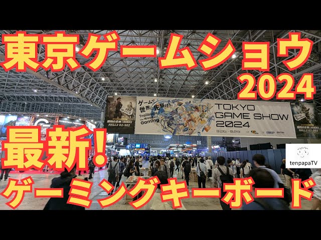Tokyo Game Show 2024 Review! - YouTube