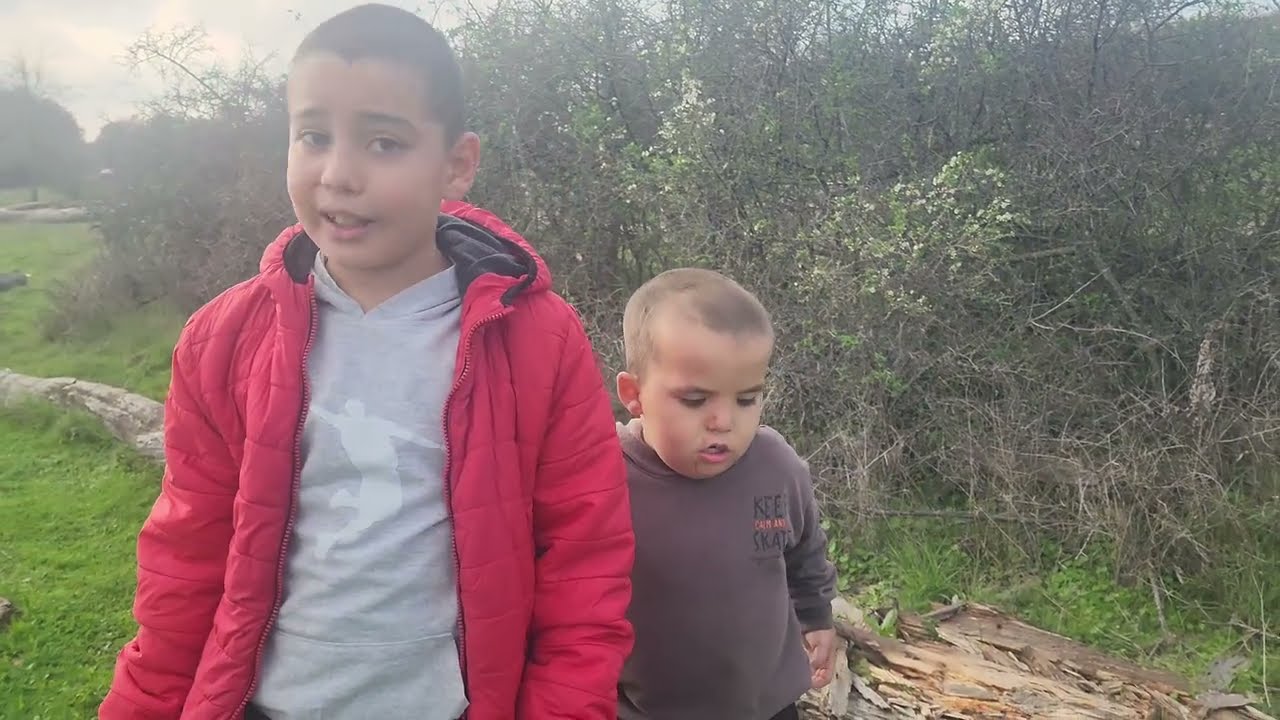 Doğada Mantar Avı: Kavaklıkta İstiridye Mantarı ve Nadir Türler!