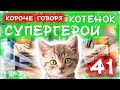 КОРОЧЕ ГОВОРЯ, КОТЕНОК СУПЕР ГЕРОЙ 41 / расплата бандитов / бездомный котенок Лайки