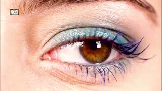 Pauk Vlastiti Put U Svijet 1980 Remastered 2020