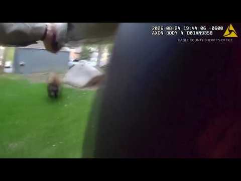 Deputy shoots, kills charging bear