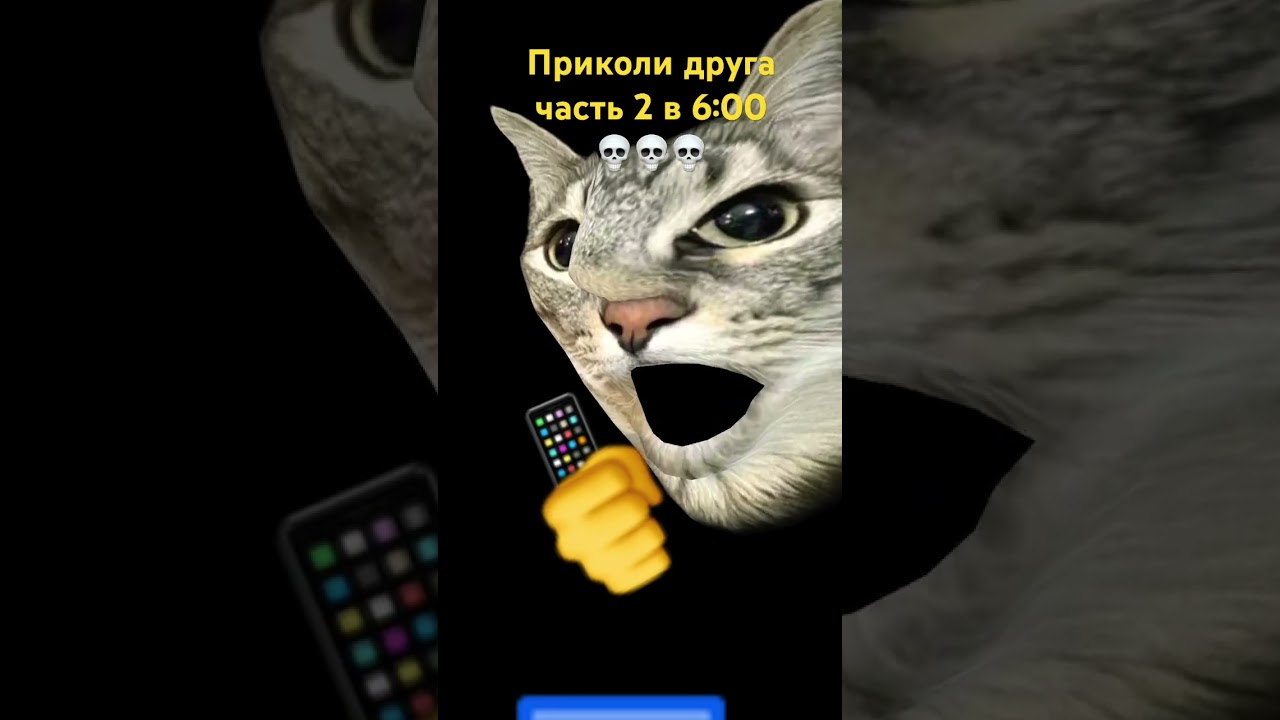 12 февраля 2026 г.