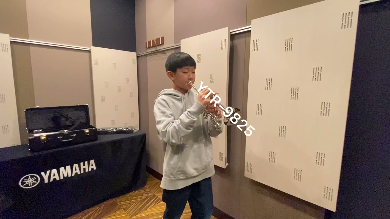 【本日9/27(土)まで】Amati ピッコロトランペット ヤマハ | YTR-9835 - ピッコロトランペット - 概要