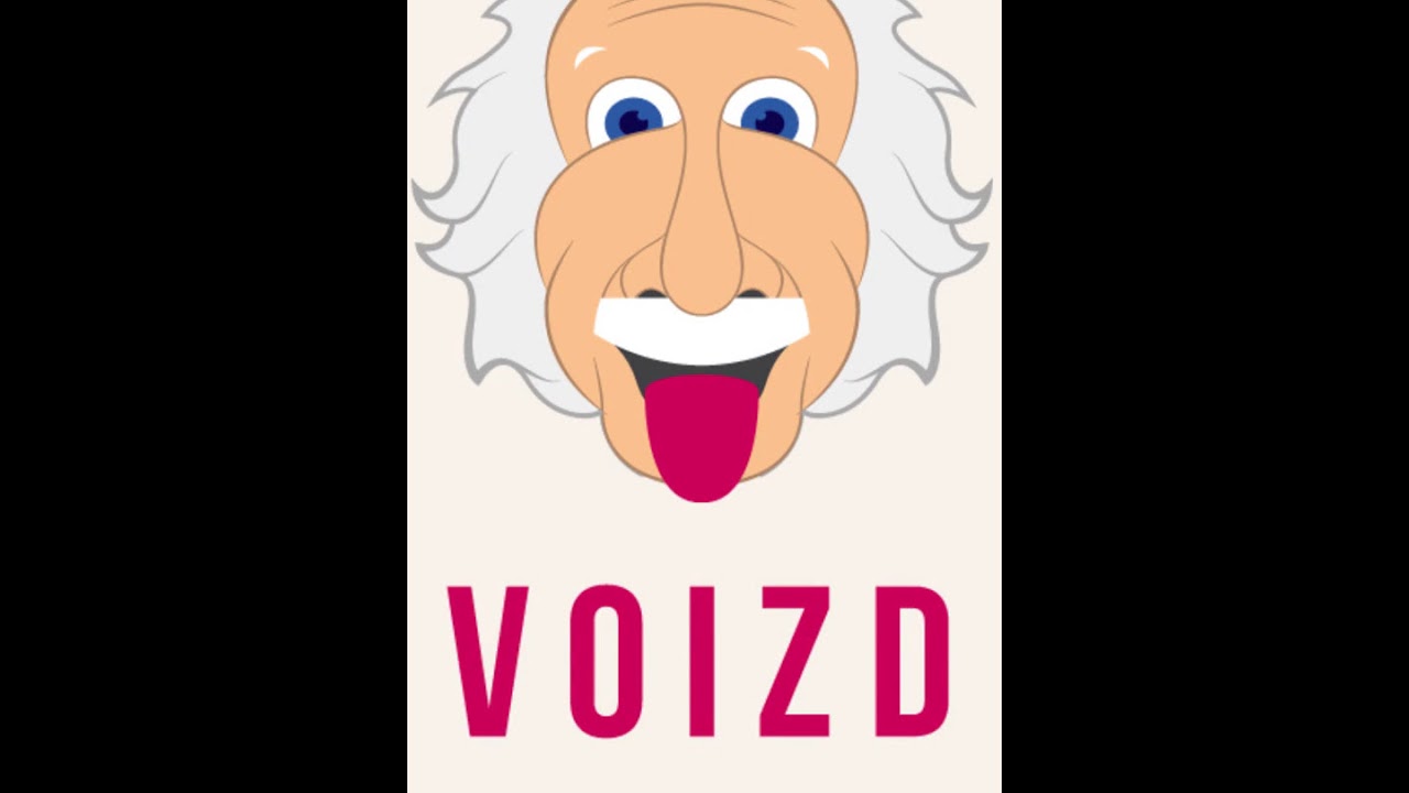 Voizd Intro