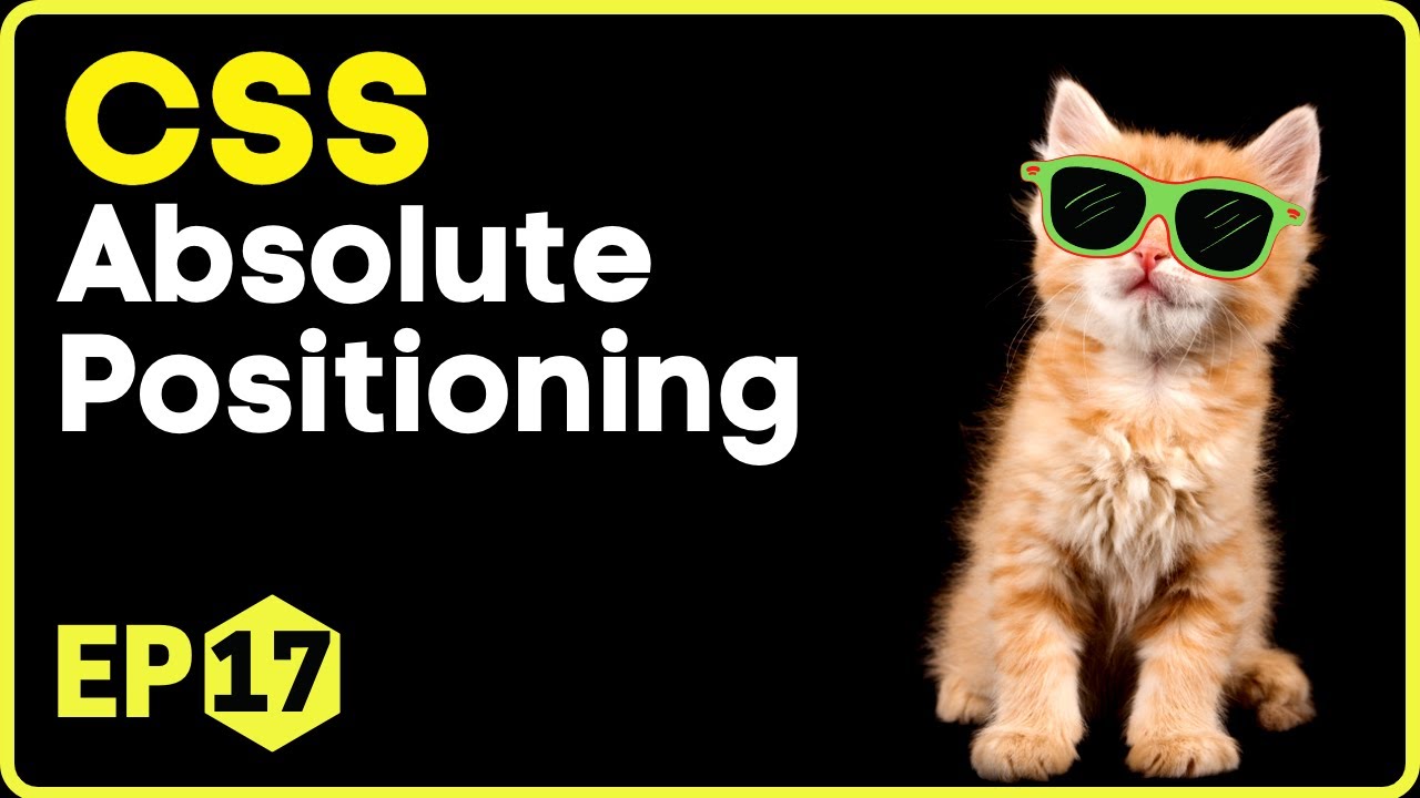 CSS In Hindi 17 CSS Positioning CSS Position Absolute CSS3 