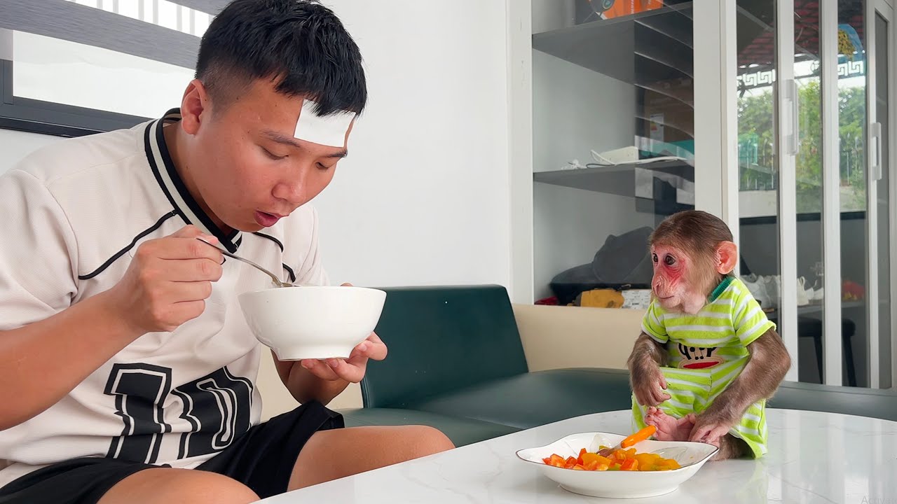 Monkey Cubis prepares special meal for Dad!