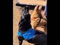 Does War have you anxious? The only winning move is not to play! Jax & Maggie vs. WOPR (Tic Tac Toe)
