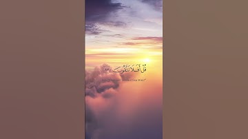 سورة المؤمنون الآيات  83_89 | ياسر الدوسري #اكسبلور #راحة_نفسية #دويتو #لايك #duet