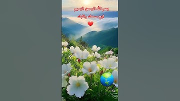 القرآن الكريم ❤🤲غذاء الروح ودواء القلب وراحة البال والاطمئنان ب اذن الله🤲