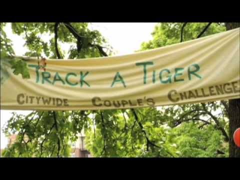 Track a Tiger - Don't Let the Nightlight Dance